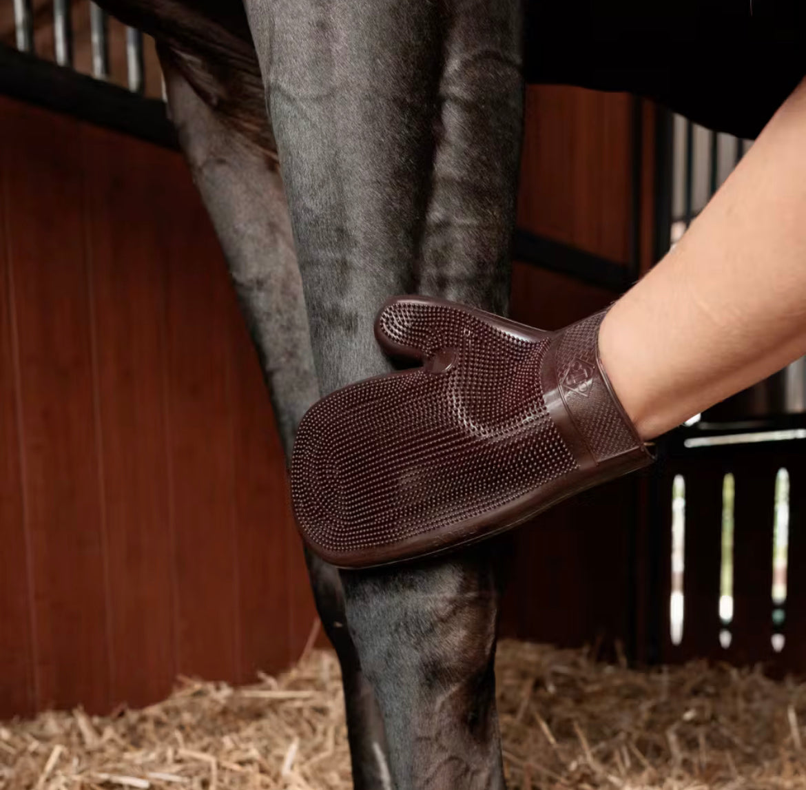 Grooming Deluxe Rubber Grooming Glove - Brun