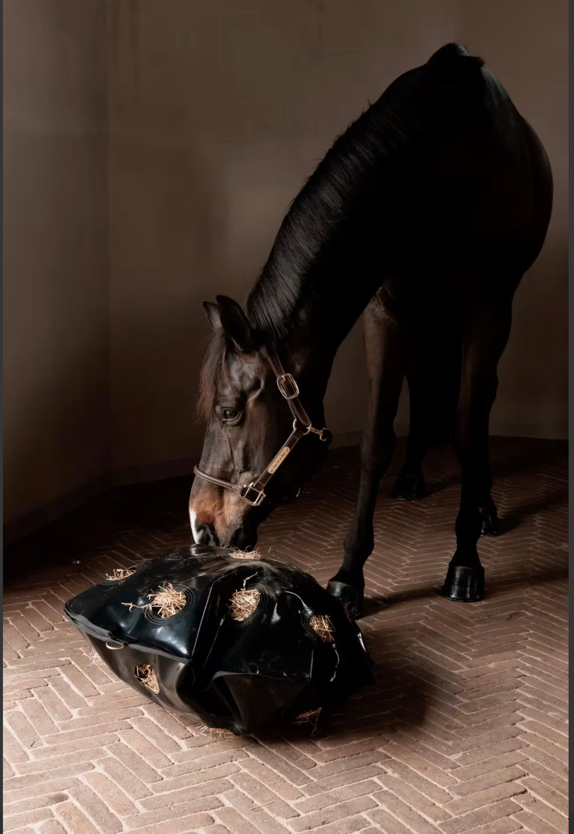 Grooming Deluxe Play & Haybag Slowfeeder Round