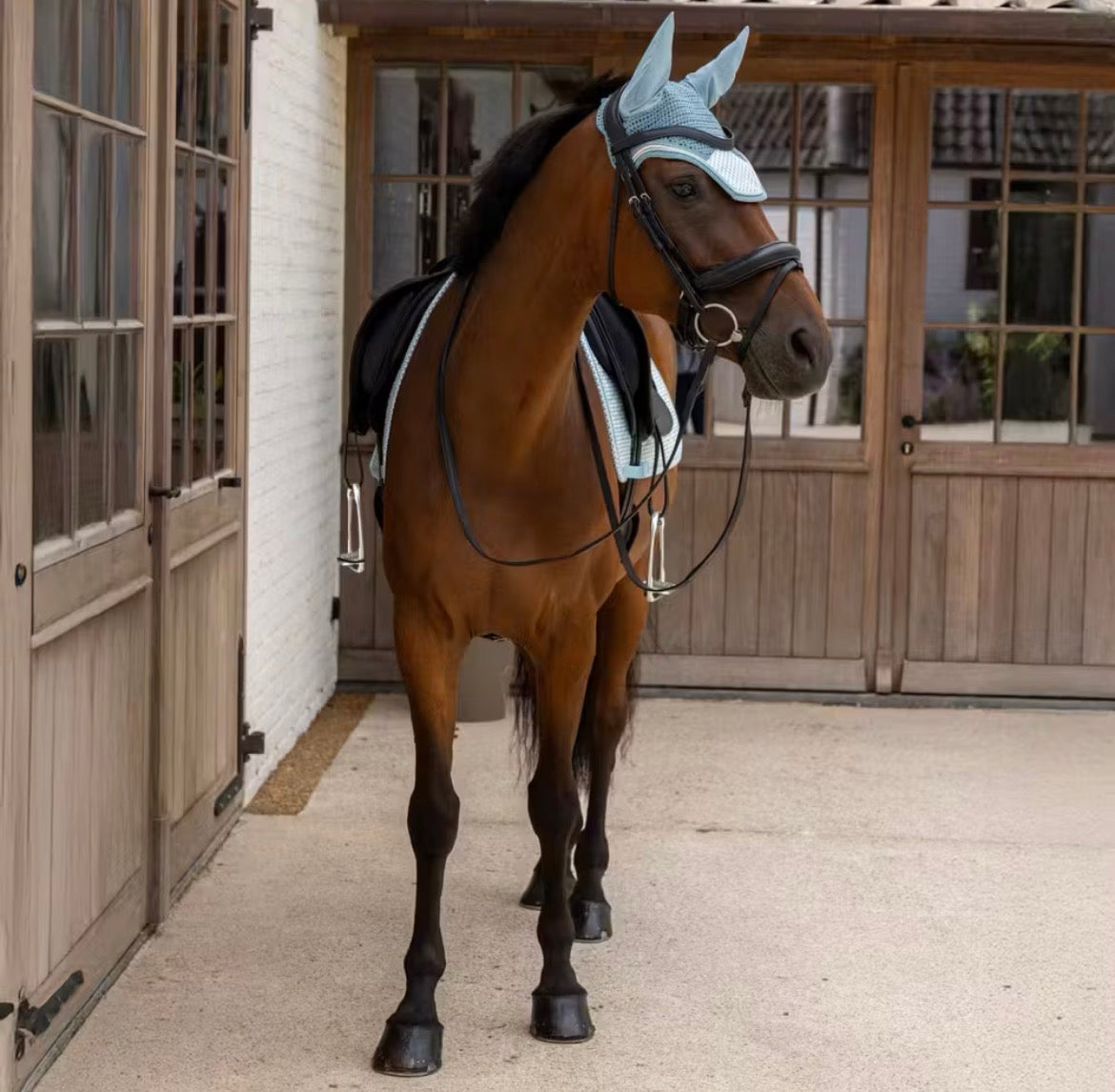 Kentucky Saddle Pad Velvet Printing Dressage Lys Blå