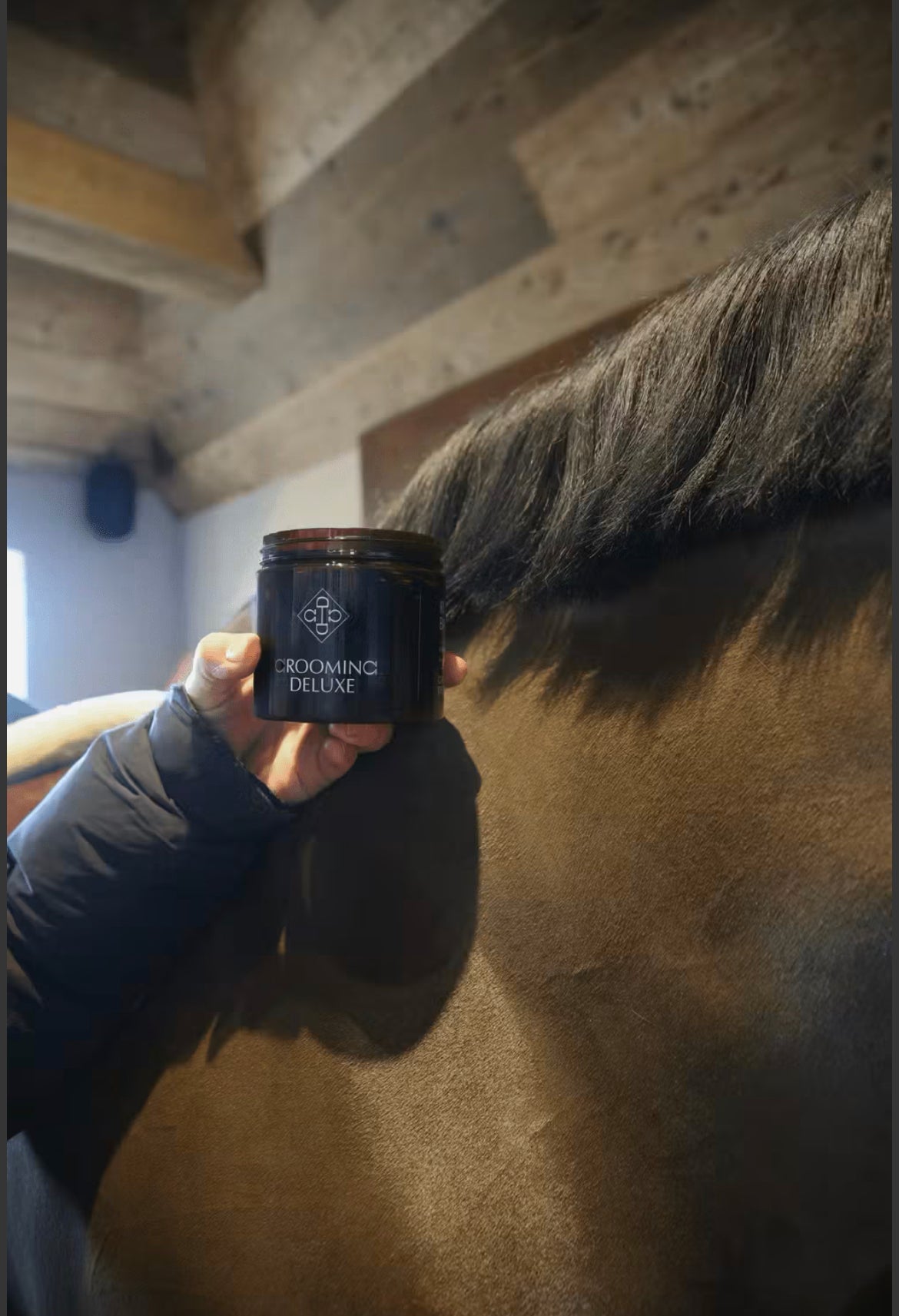 Grooming Deluxe Rubber Bands Sort