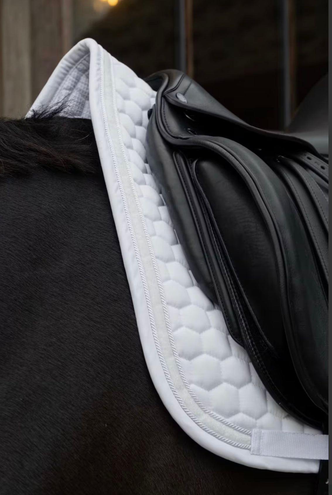 Kentucky Saddle Pad Glitter Band Dressur, Hvit/Hvit, Full