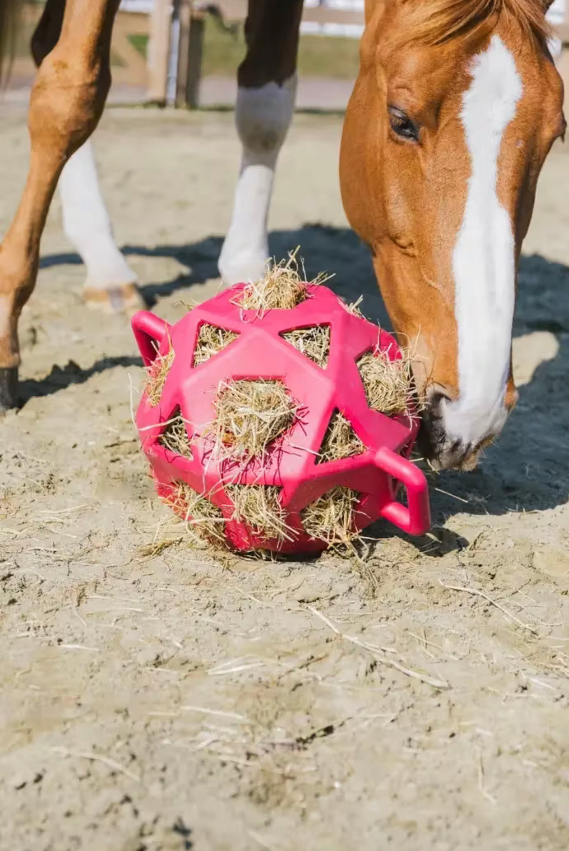 Kentucky Relax Horse Play & Hay Ball, Rosa