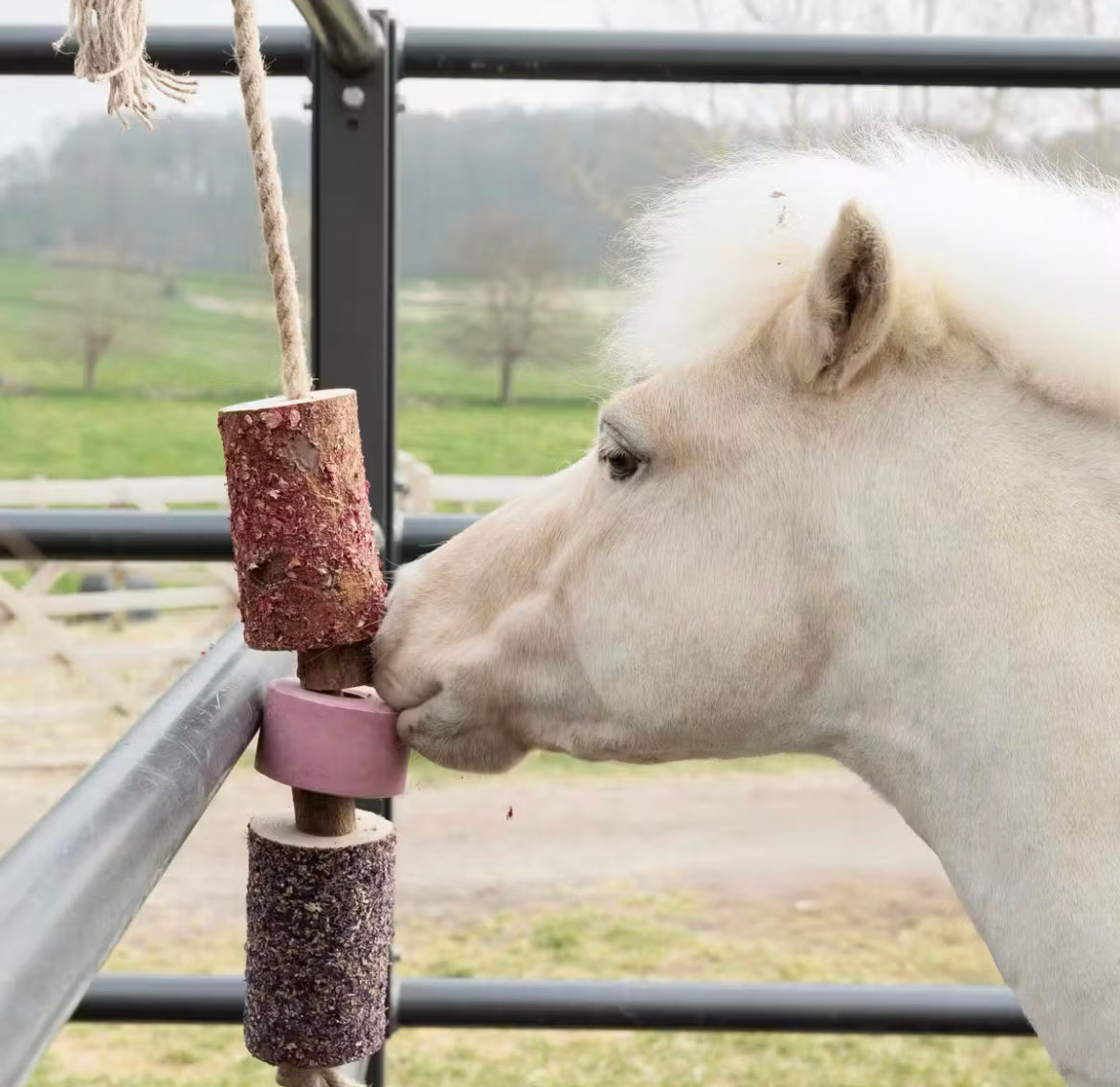 Grooming Deluxe Wooden Relax Horse Toy with Salt lick - Sammy