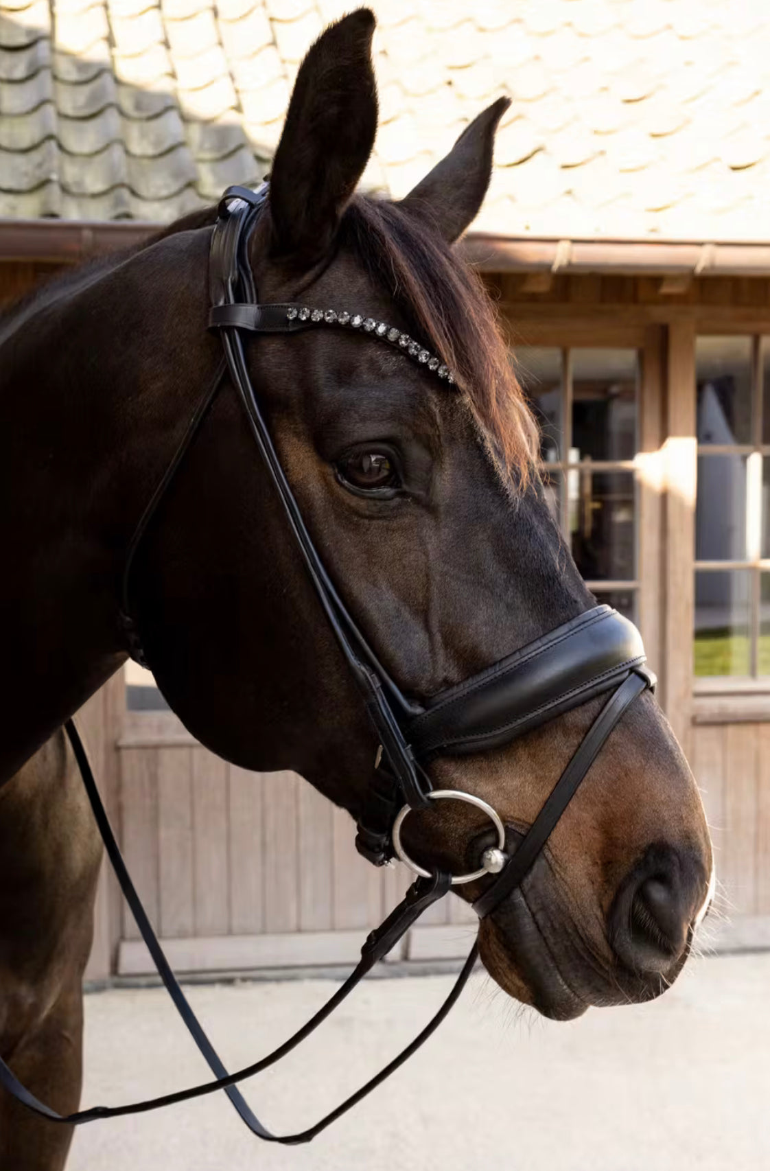 Dyon ComfoHead Bridle Working