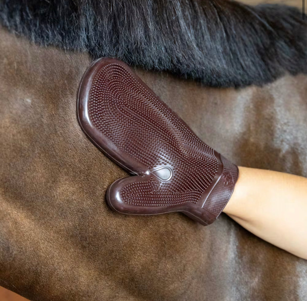 Grooming Deluxe Rubber Grooming Glove - Brun