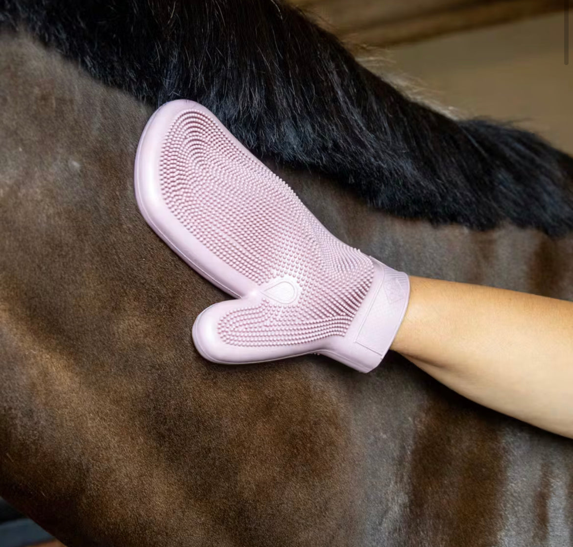 Grooming Deluxe Rubber Grooming Glove - Old Rose