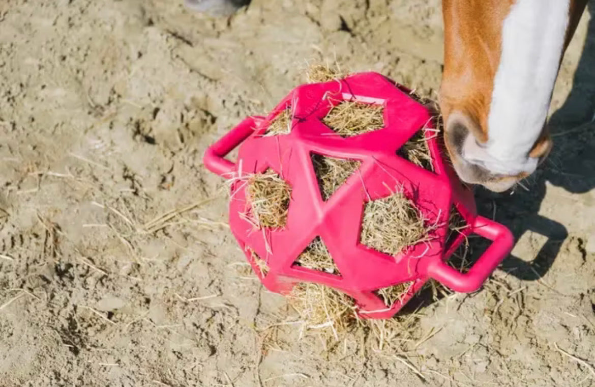 Kentucky Relax Horse Play & Hay Ball, Rosa