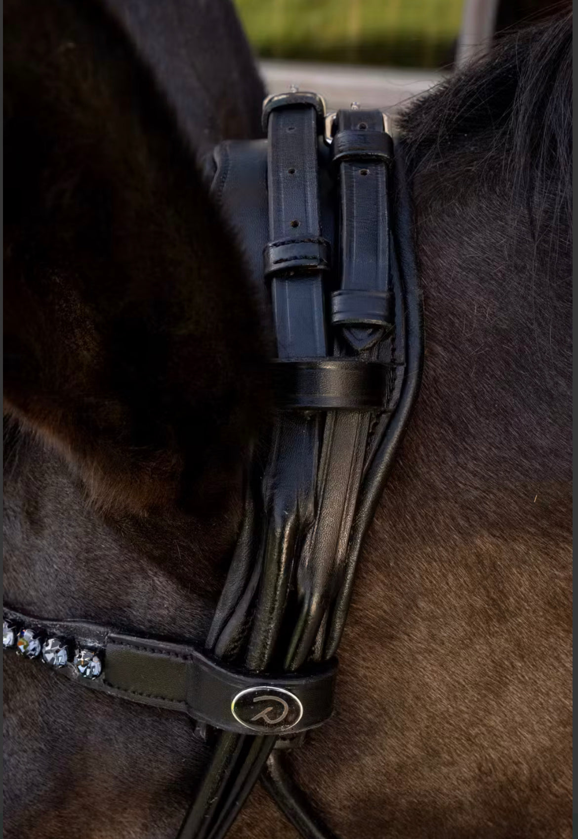 Dyon ComfoHead Bridle Working