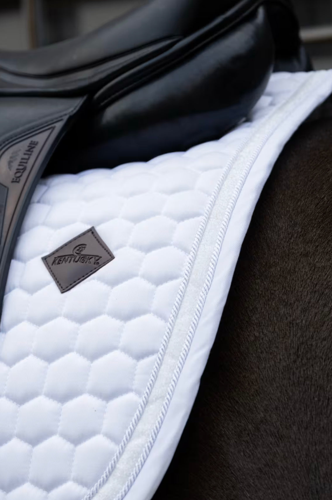 Kentucky Saddle Pad Glitter Band Dressur, Hvit/Hvit, Full