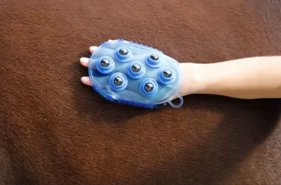 Kerbl Magnet Massage Curry Comb -Blue