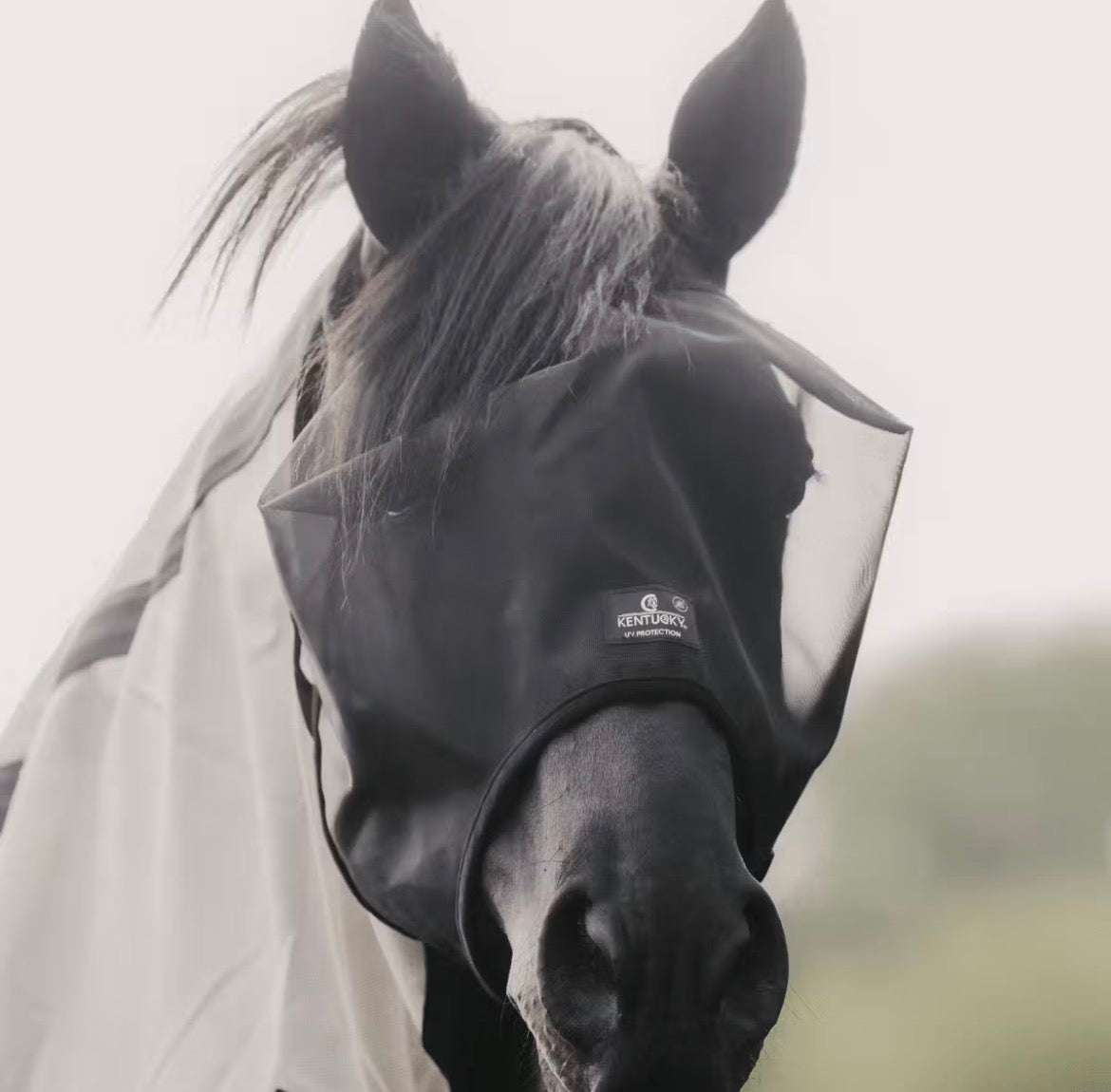 Kentucky Fly Mask Classic wo/Ears Sort
