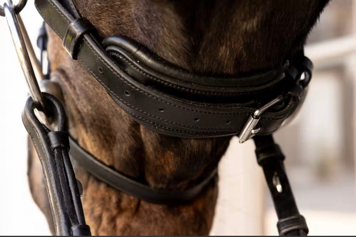 Dyon ComfoHead Bridle Working