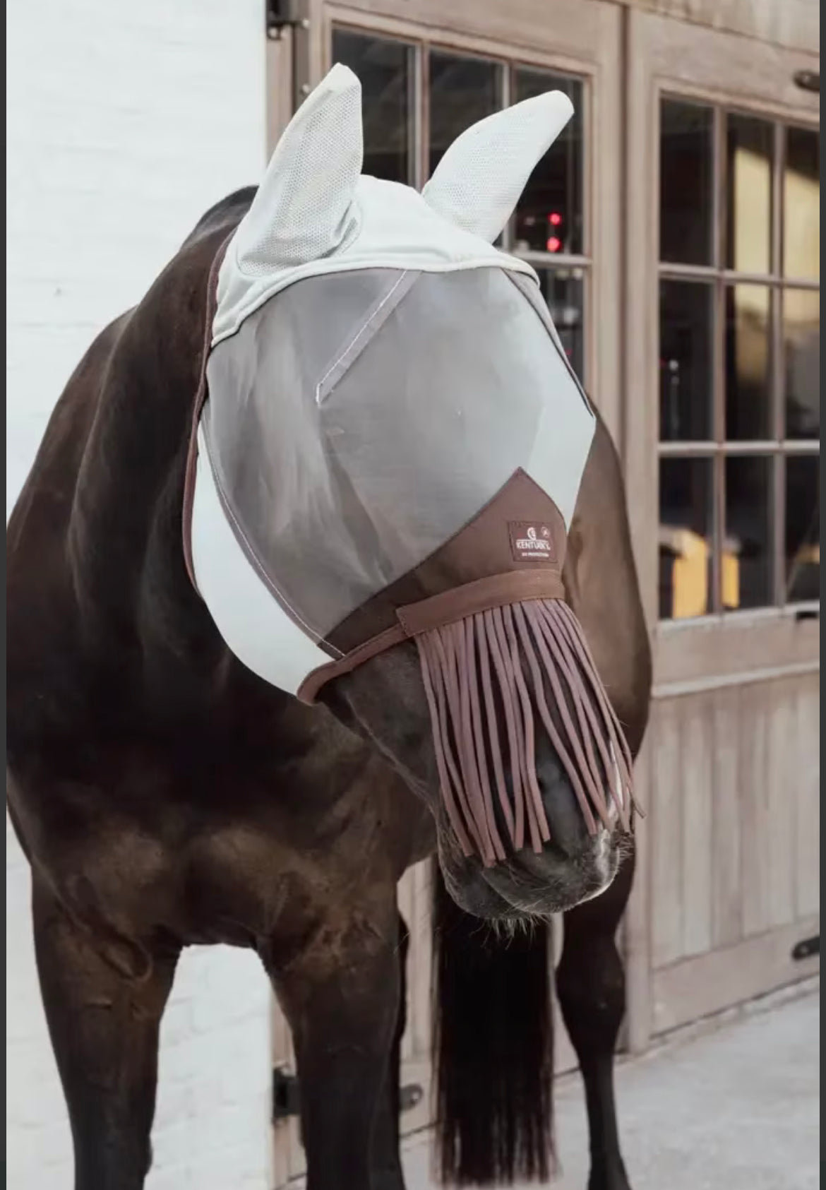 Kentucky Fly Mask w/ears & nose tassels