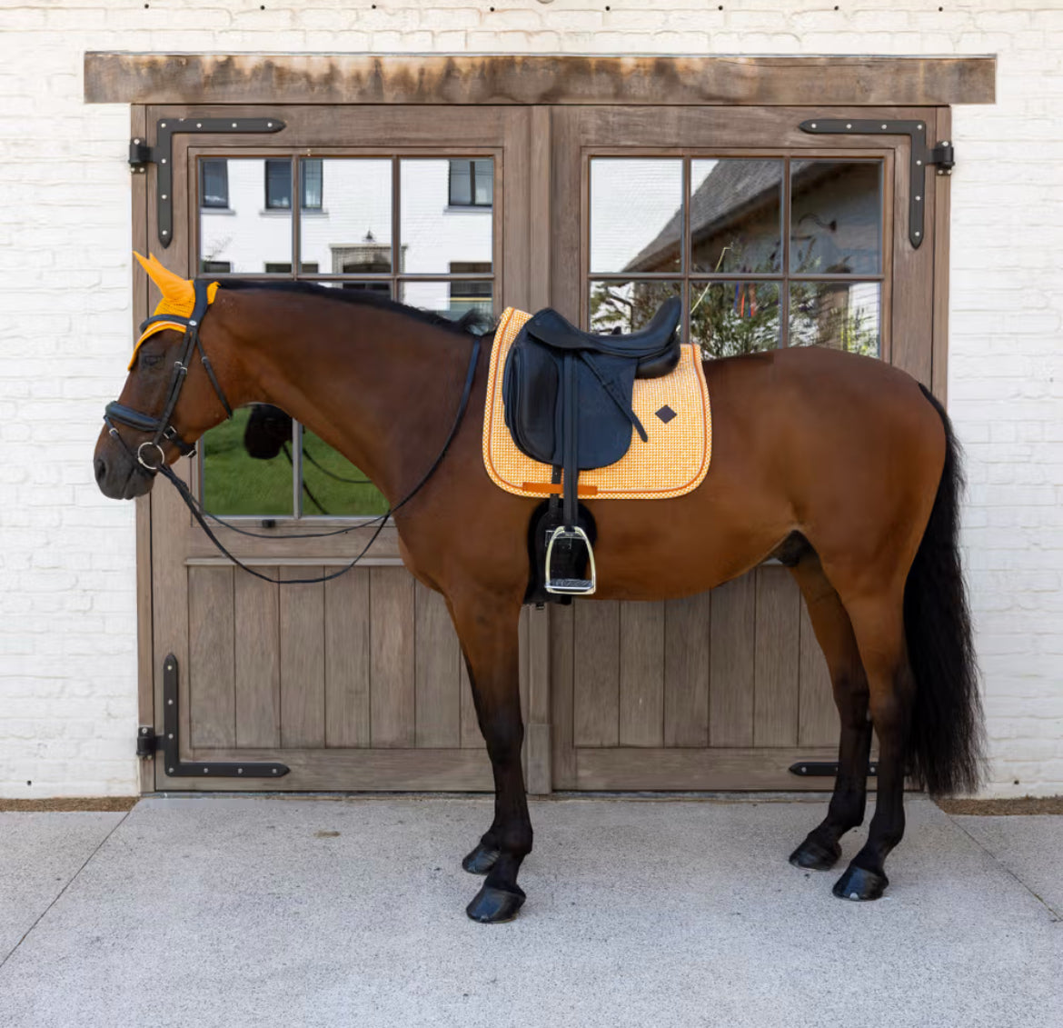 Kentucky Saddle Pad Velvet Printing Dressage - Oransje - Full