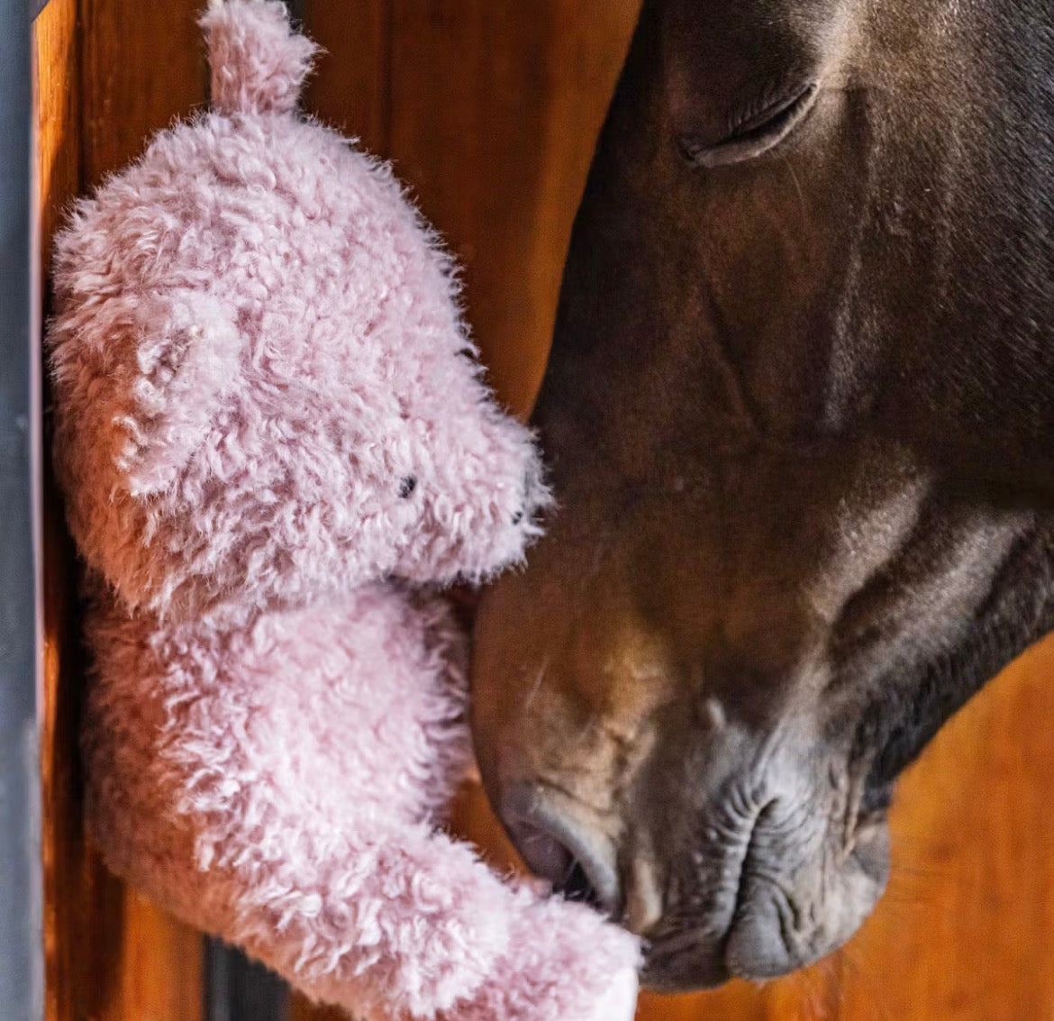 Kentucky Relax Horse Toy Bear Old Rose