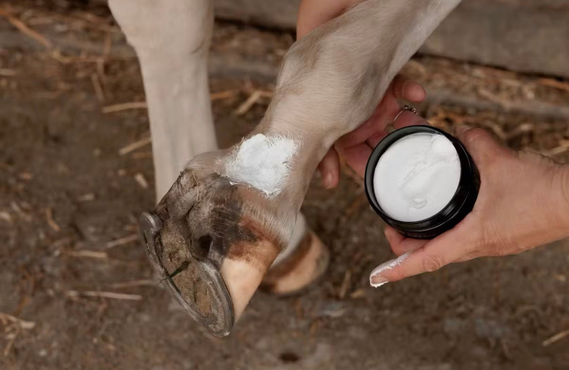 Grooming Deluxe Mud Fever Cream Plus