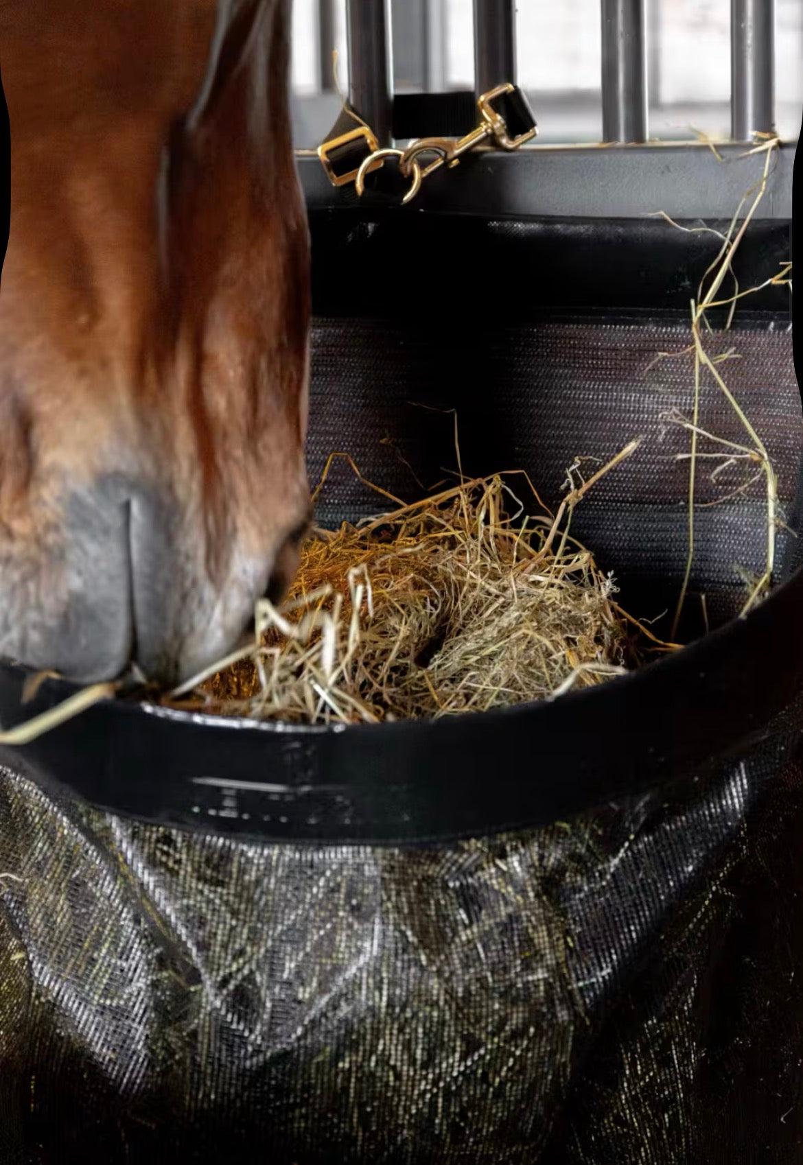 Kentucky Hay Bag Straight