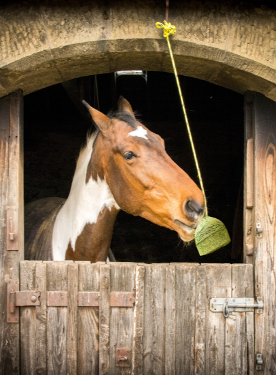 Silvermoor Swingers Boredom Buster Minty Unicorn Nå: 83,30,-