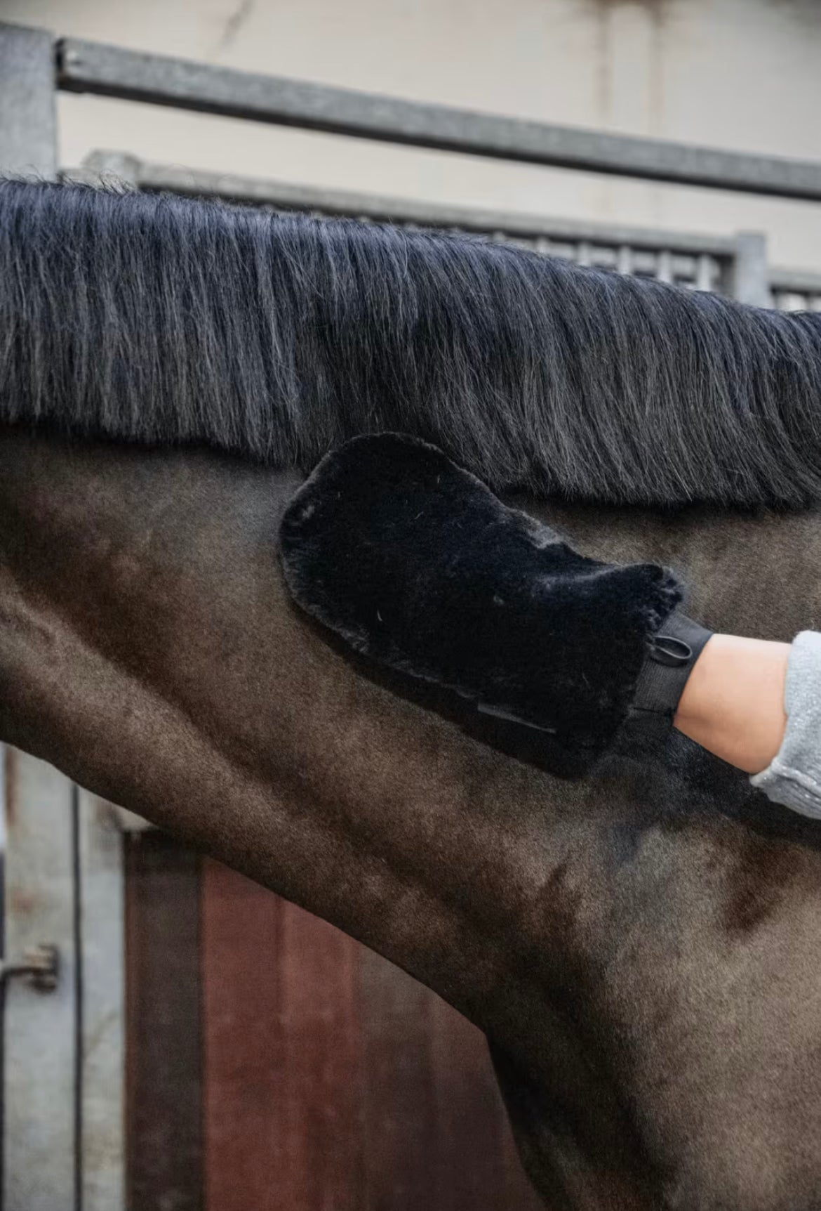 Grooming Deluxe Sheepskin Grooming Glove