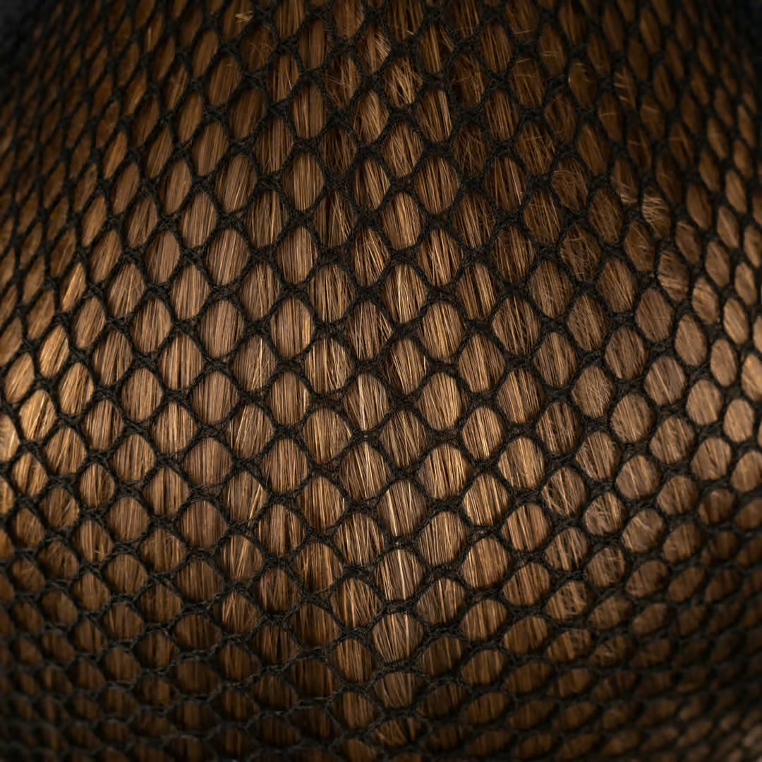 Kentucky Hairnet Sort