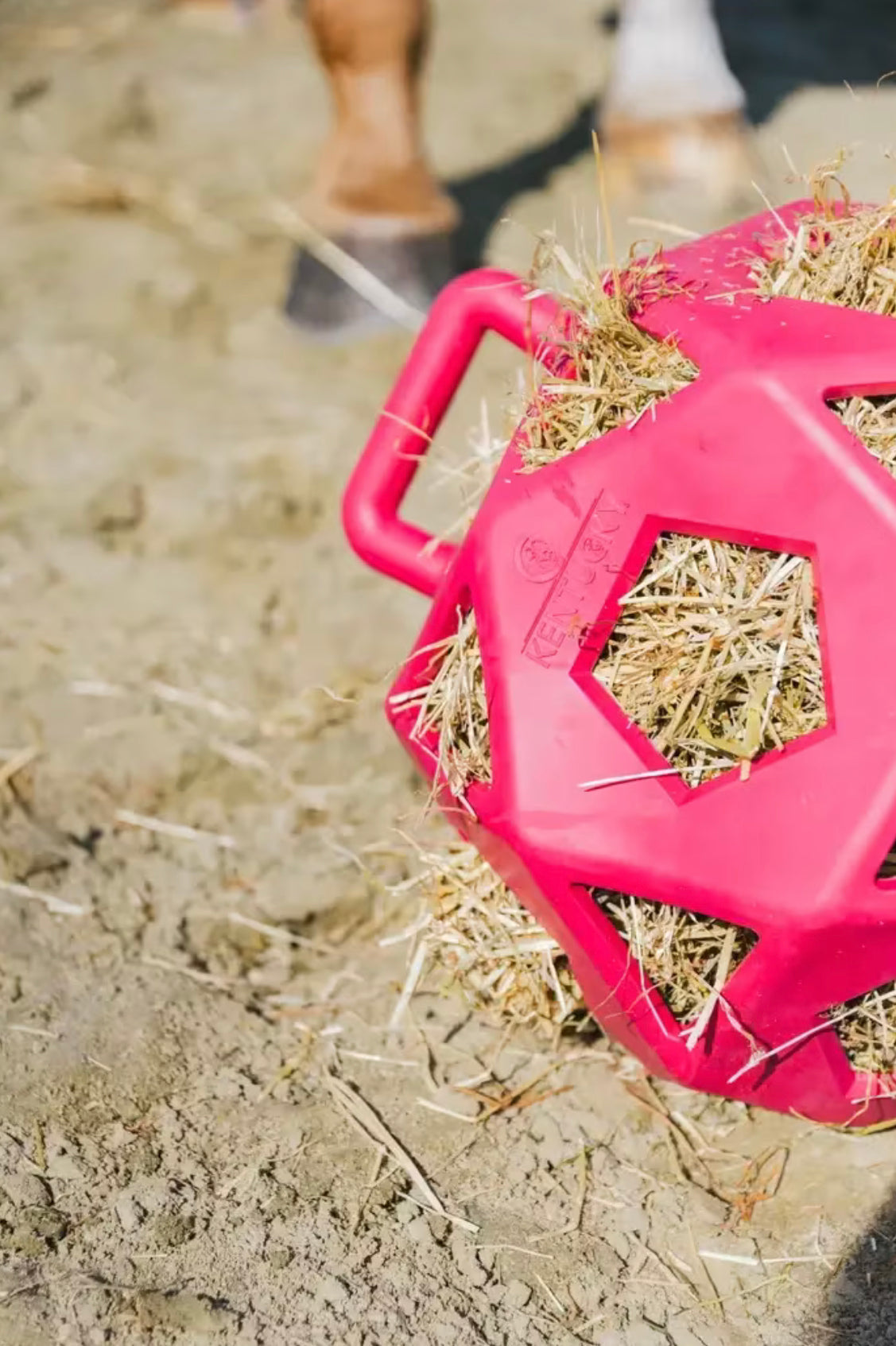Kentucky Relax Horse Play & Hay Ball, Rosa