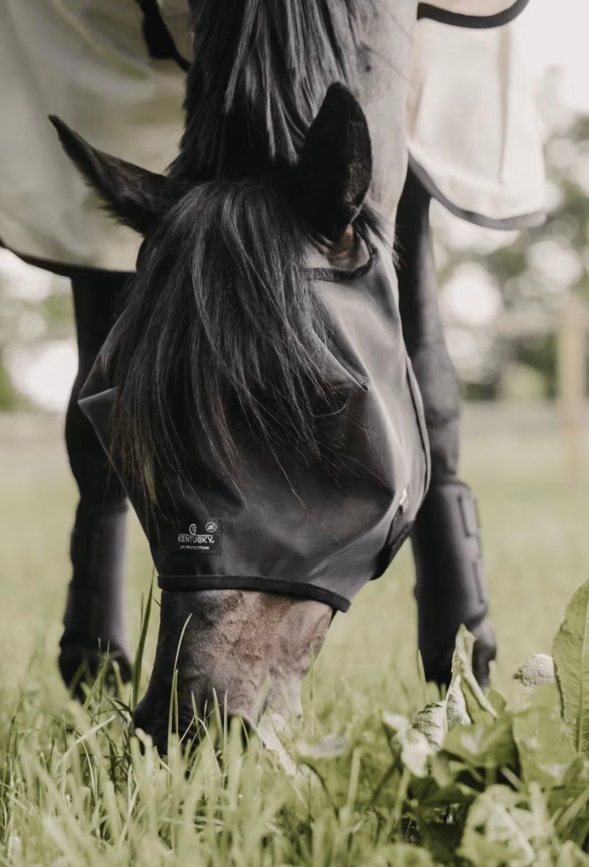 Kentucky Fly Mask Classic wo/Ears Sort