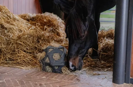 Kentucky Relax Horse Play & Hay Ball, Grå