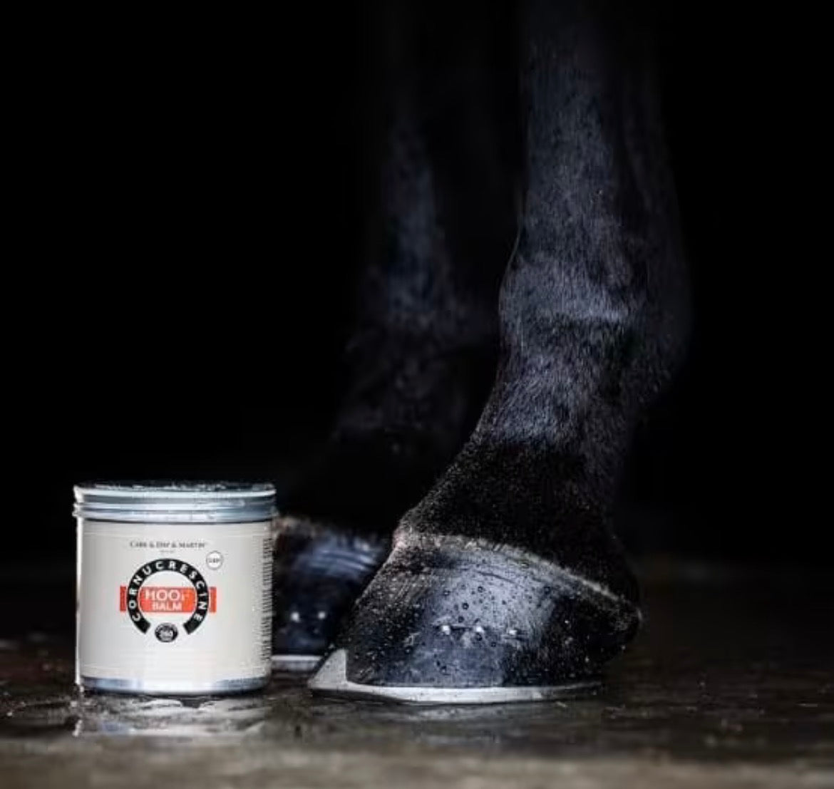 CDM Cornucrescine Hoof Balm Clear