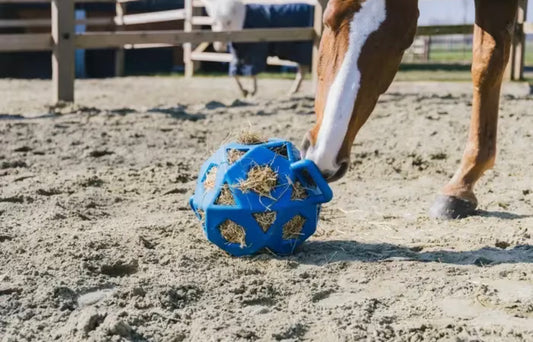 Kentucky Relax Horse Play & Hay Ball, Blå