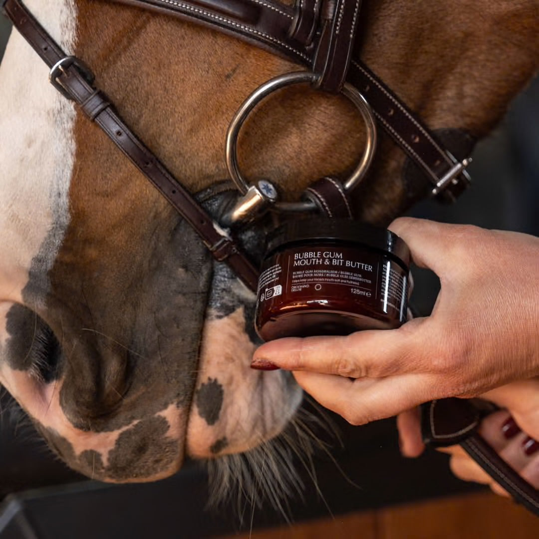 Grooming Deluxe Mouth & Bit Butter Bubblegum