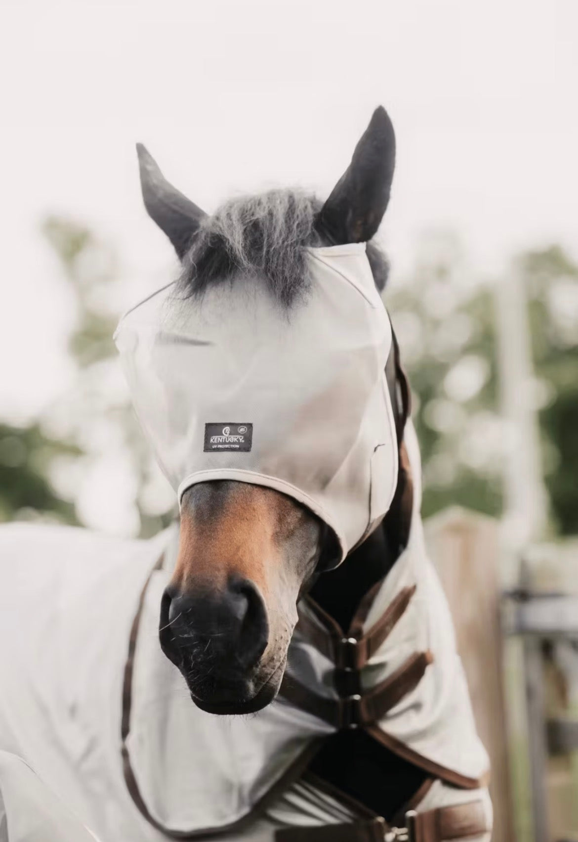 Kentucky Fly Mask Classic wo/Ears Beige