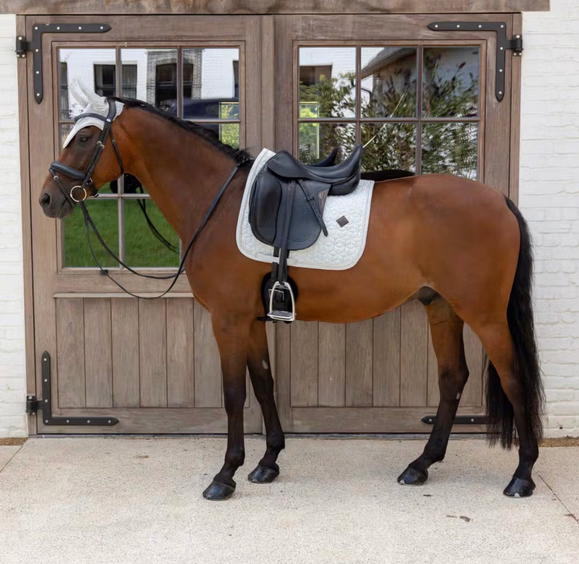 Kentucky Saddle Pad Velvet Printing Dressage Grå/Hvit