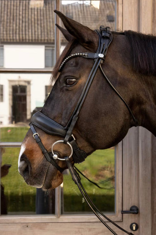 Dyon ComfoHead Bridle Working