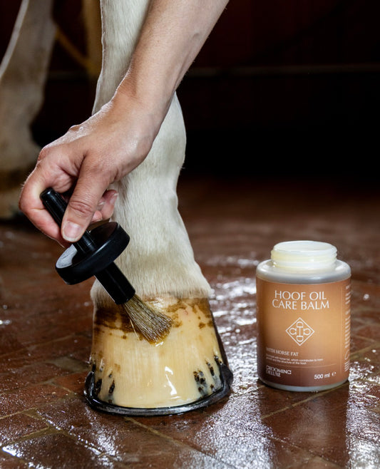 Grooming Deluxe Hoof Oil Care Balm