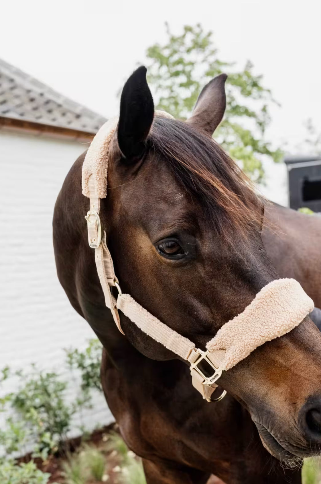 Kentucky Teddy Fleece Halter Beige - Full