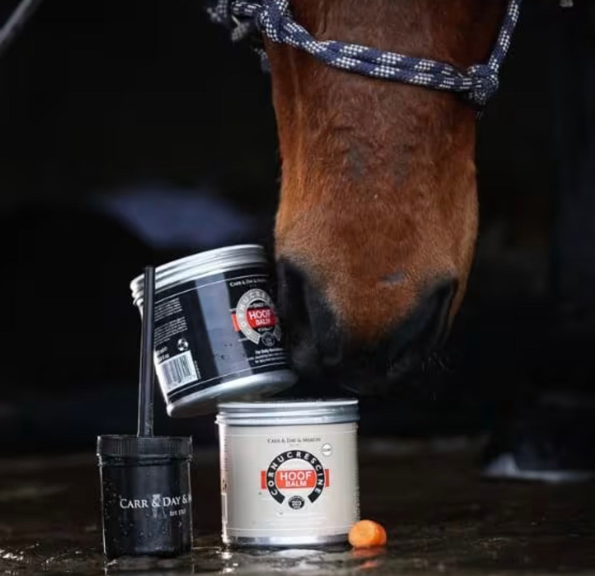 CDM Cornucrescine Hoof Balm Black