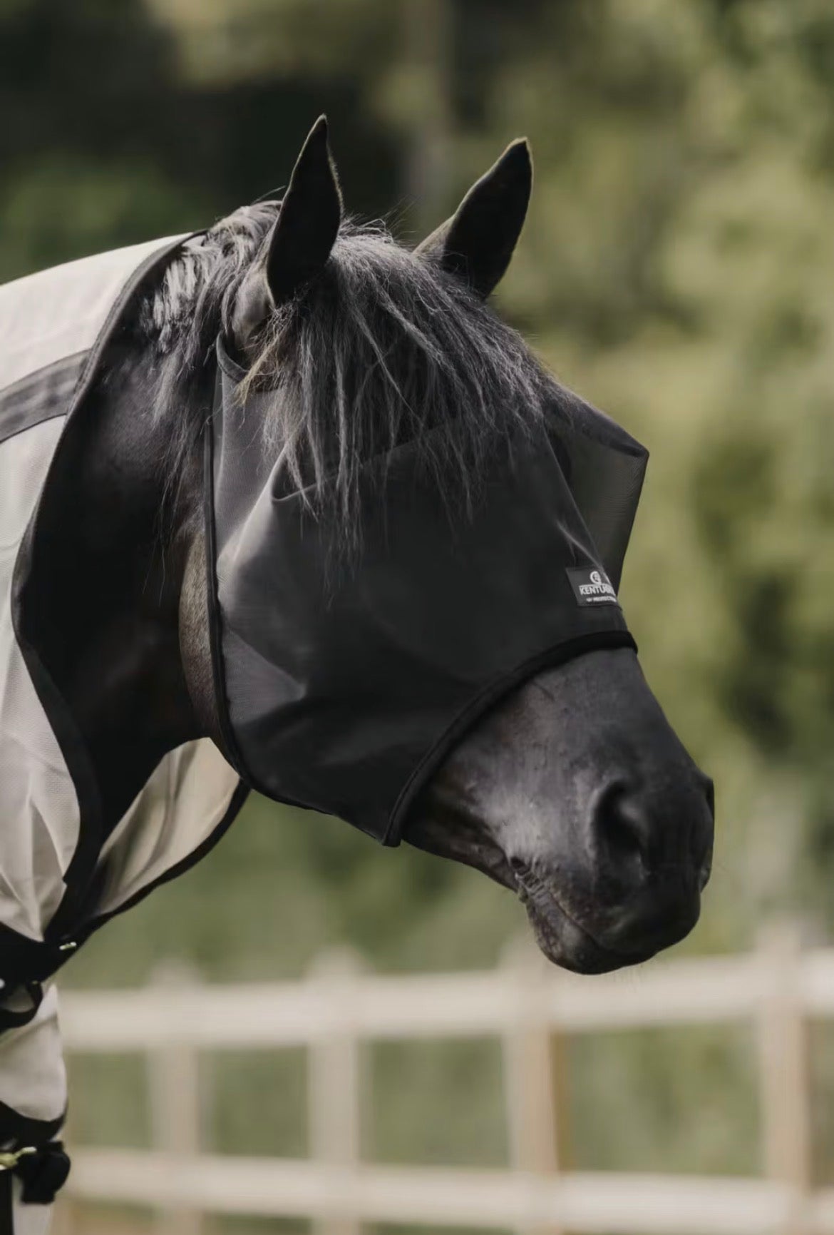 Kentucky Fly Mask Classic wo/Ears Sort