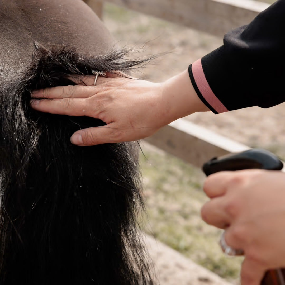 Grooming Deluxe Itch Stop Plus