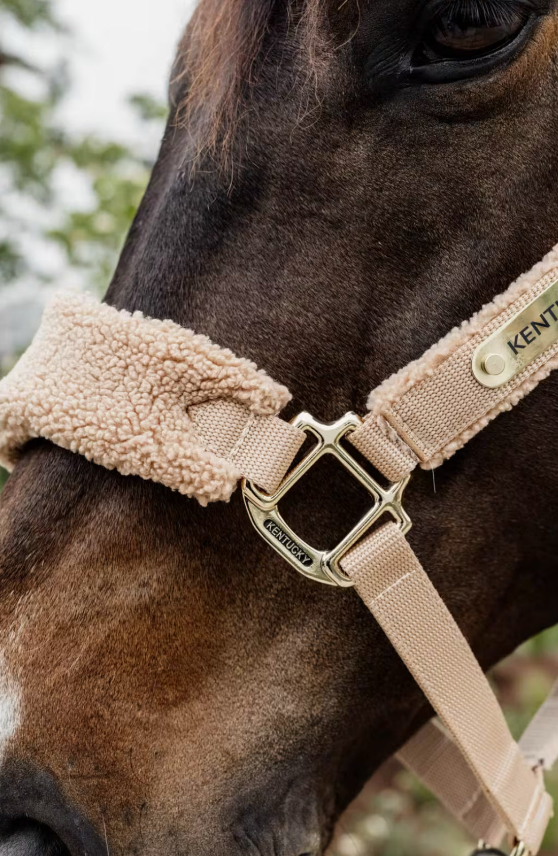 Kentucky Teddy Fleece Halter Beige - Full