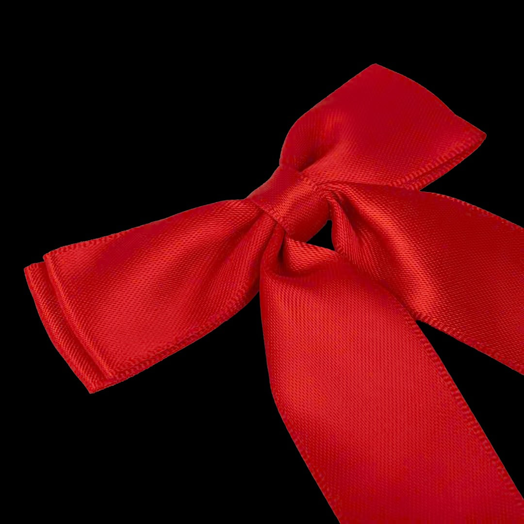 Kentucky Red Ribbon With Clip M