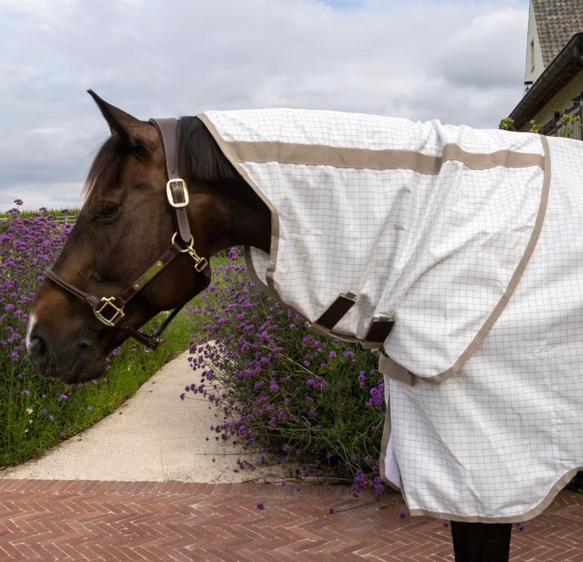 Kentucky Sweet Itch Fly & Summer Sheet Comfort