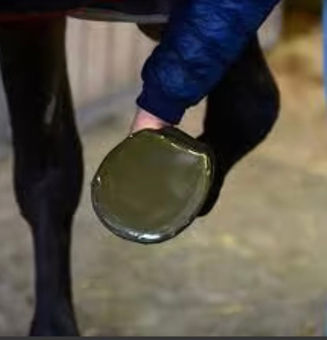 Kentucky Sole Tape