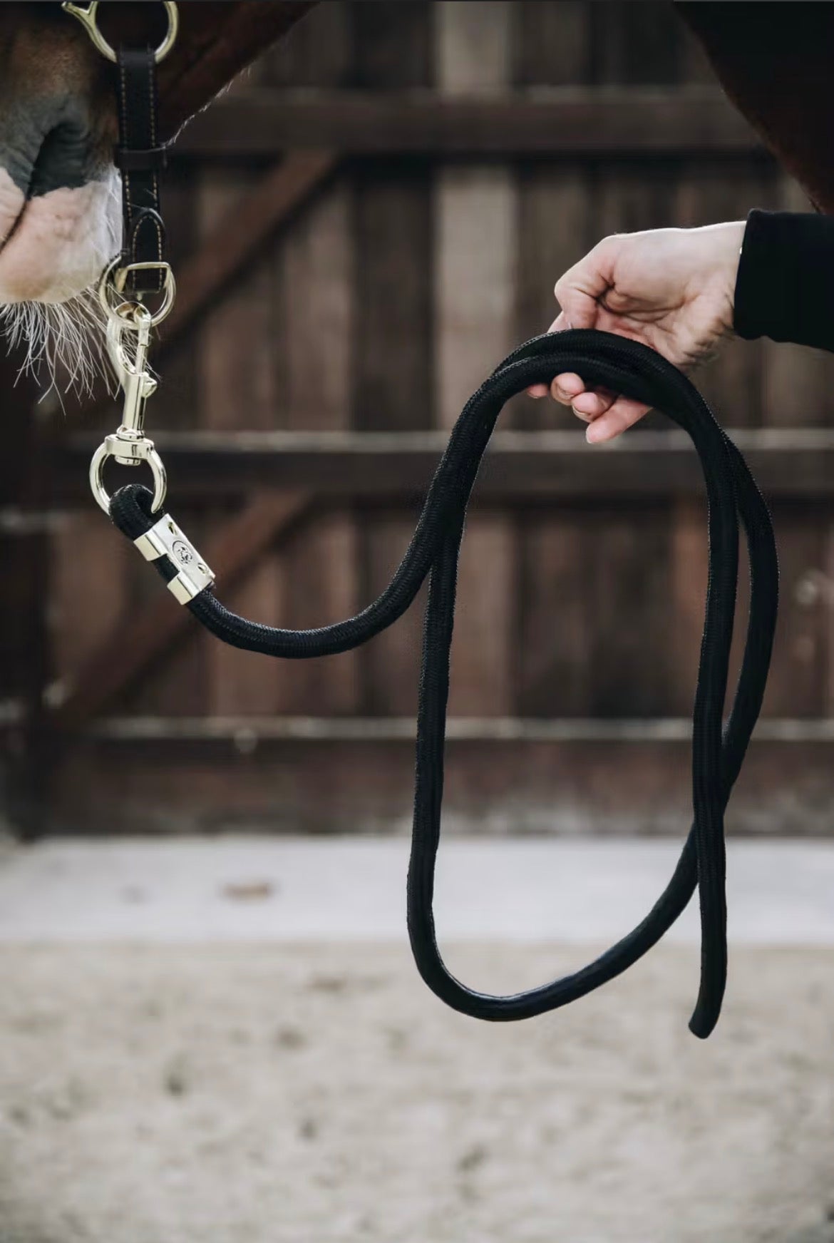 Kentucky Lead Rope Basic Sort
