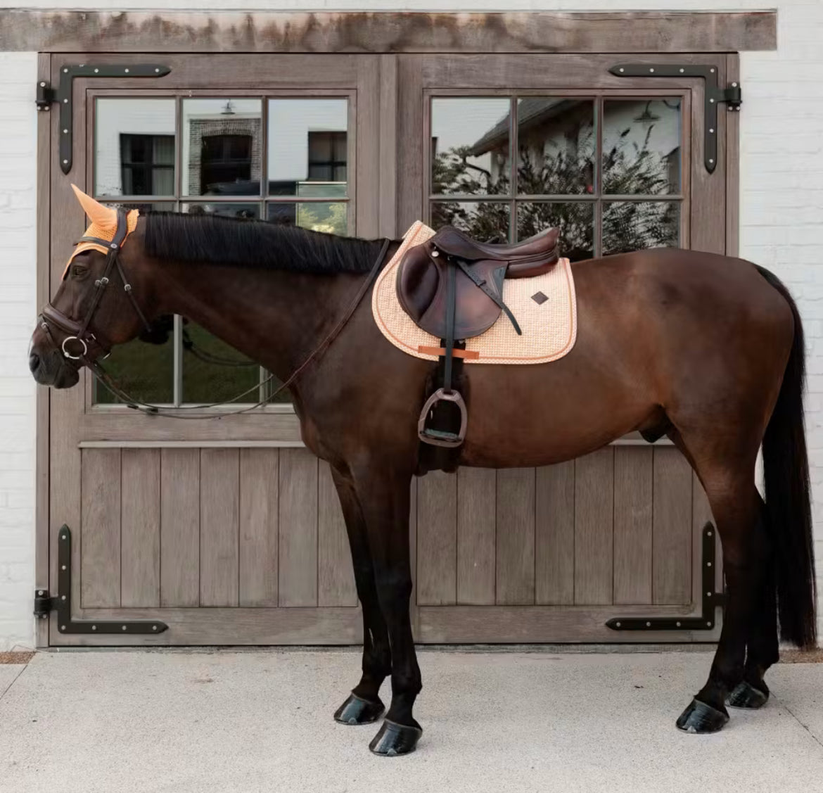 Kentucky Saddle Pad Velvet Printing Jumping - Oransje - Cob