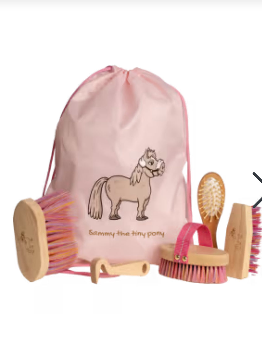 Grooming Deluxe Sammy Kids Brush Bag Set - Old Rose