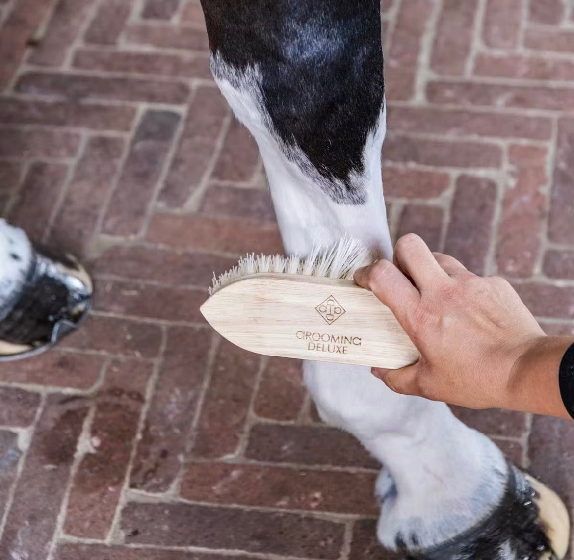 Grooming Deluxe Wooden Classic Brush Short Hard Natur