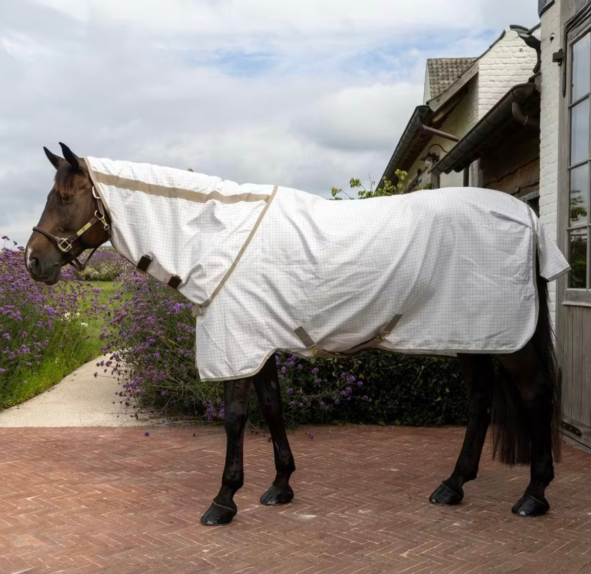 Kentucky Sweet Itch Fly & Summer Sheet Comfort