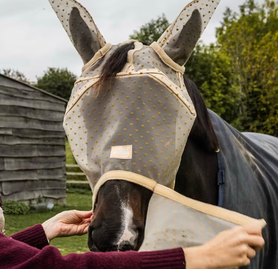 Kentucky Fly Mask Heart w/Ears And Nose Beige