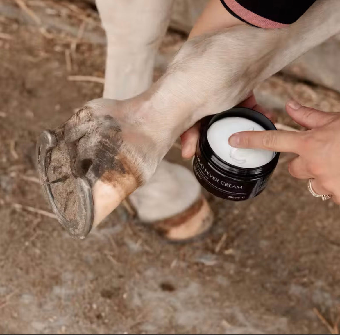 Grooming Deluxe Mud Fever Cream Plus