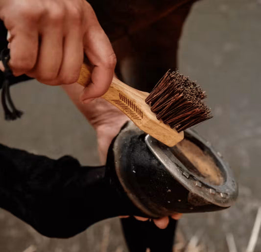 Grooming Deluxe Hoof Pick